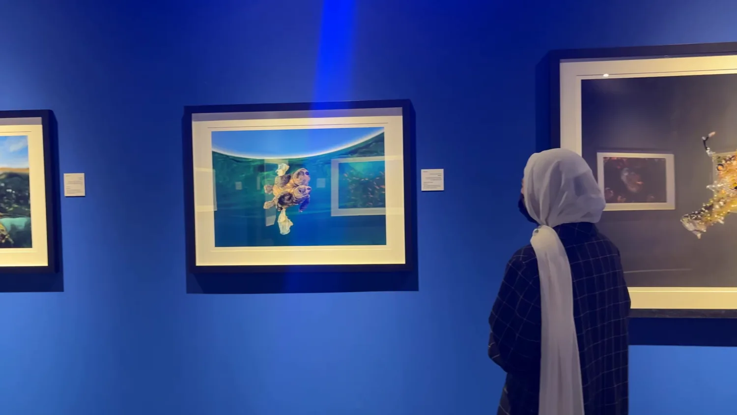 Xposure Sharjah vlog